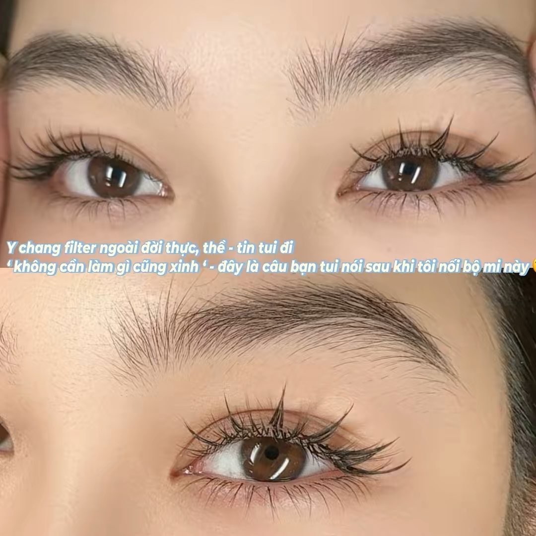 Nối Mi Mắt Ướt - Lông Thỏ